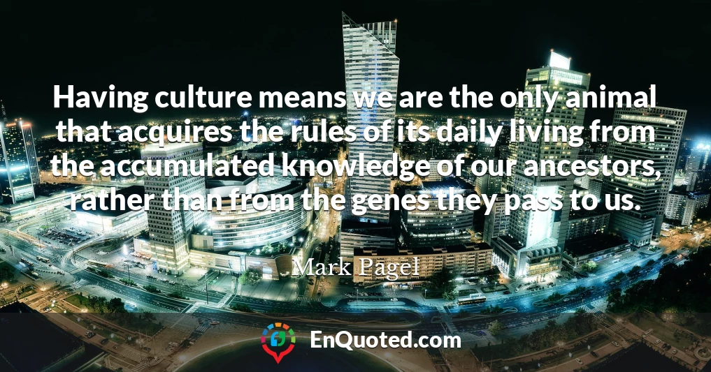 Having culture means we are the only animal that acquires the rules of its daily living from the accumulated knowledge of our ancestors, rather than from the genes they pass to us.