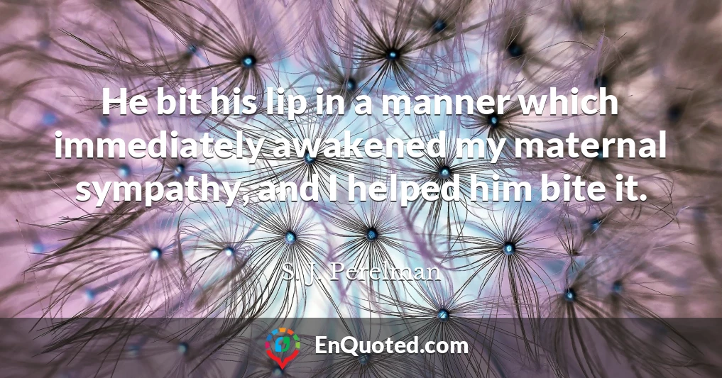 He bit his lip in a manner which immediately awakened my maternal sympathy, and I helped him bite it.