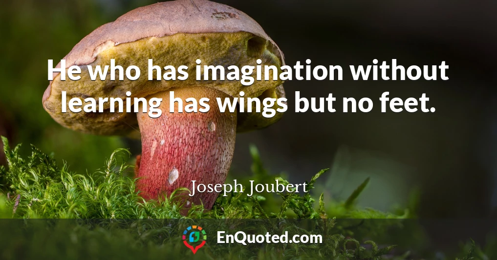 He who has imagination without learning has wings but no feet.