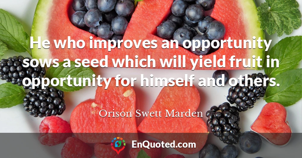 He who improves an opportunity sows a seed which will yield fruit in opportunity for himself and others.