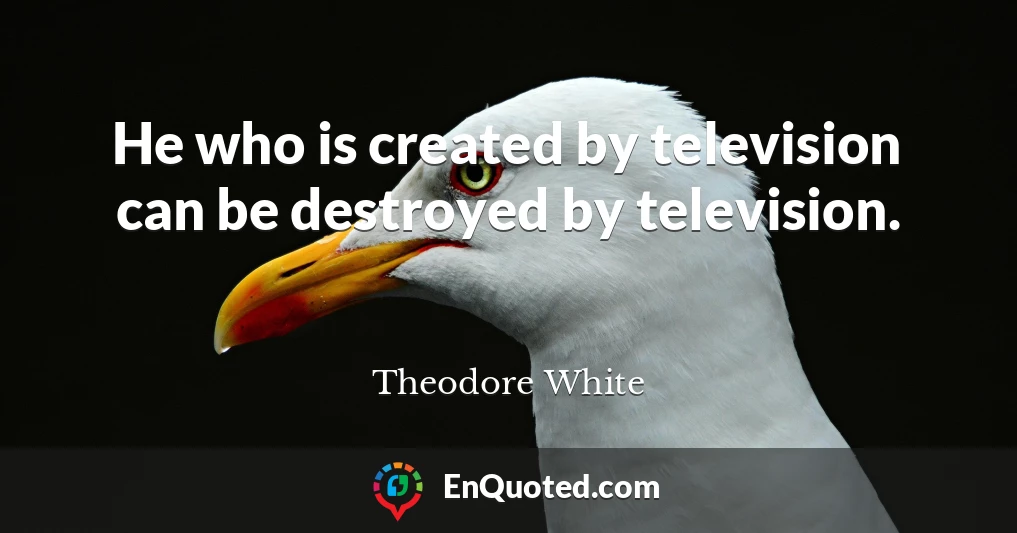 He who is created by television can be destroyed by television.