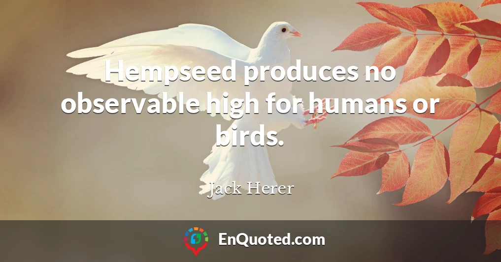 Hempseed produces no observable high for humans or birds.
