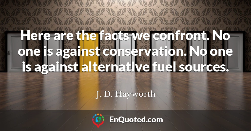 Here are the facts we confront. No one is against conservation. No one is against alternative fuel sources.