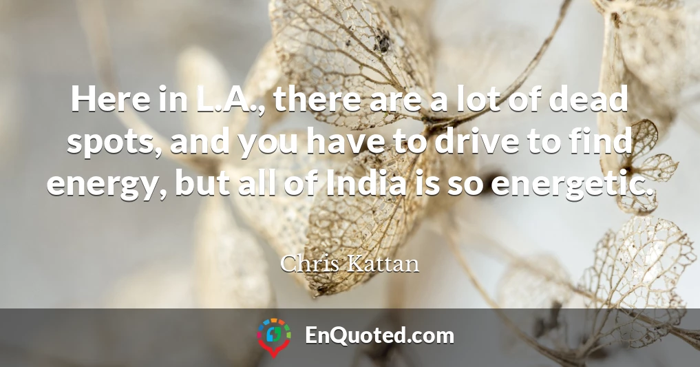 Here in L.A., there are a lot of dead spots, and you have to drive to find energy, but all of India is so energetic.