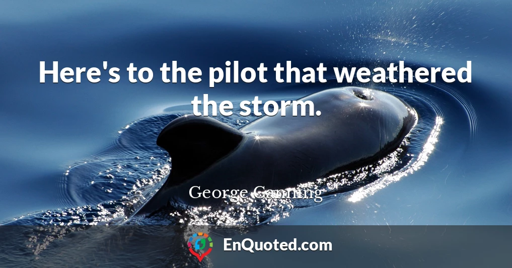 Here's to the pilot that weathered the storm.