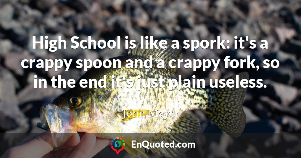 High School is like a spork: it's a crappy spoon and a crappy fork, so in the end it's just plain useless.
