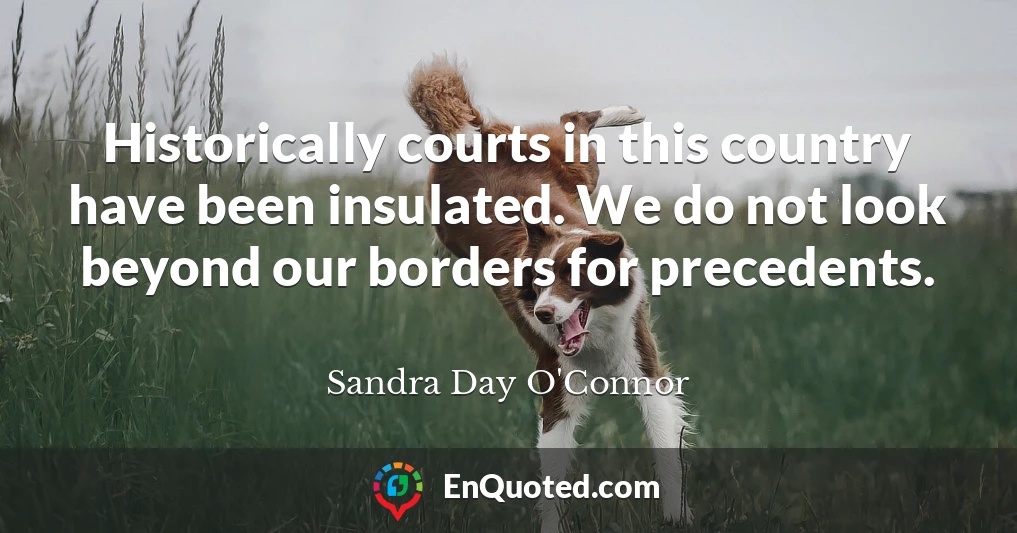 Historically courts in this country have been insulated. We do not look beyond our borders for precedents.
