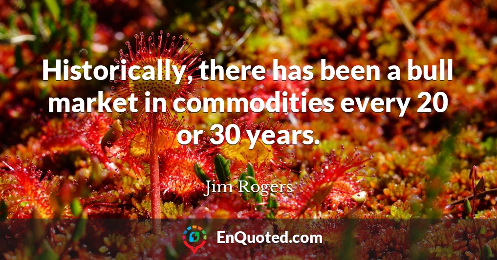 Historically, there has been a bull market in commodities every 20 or 30 years.