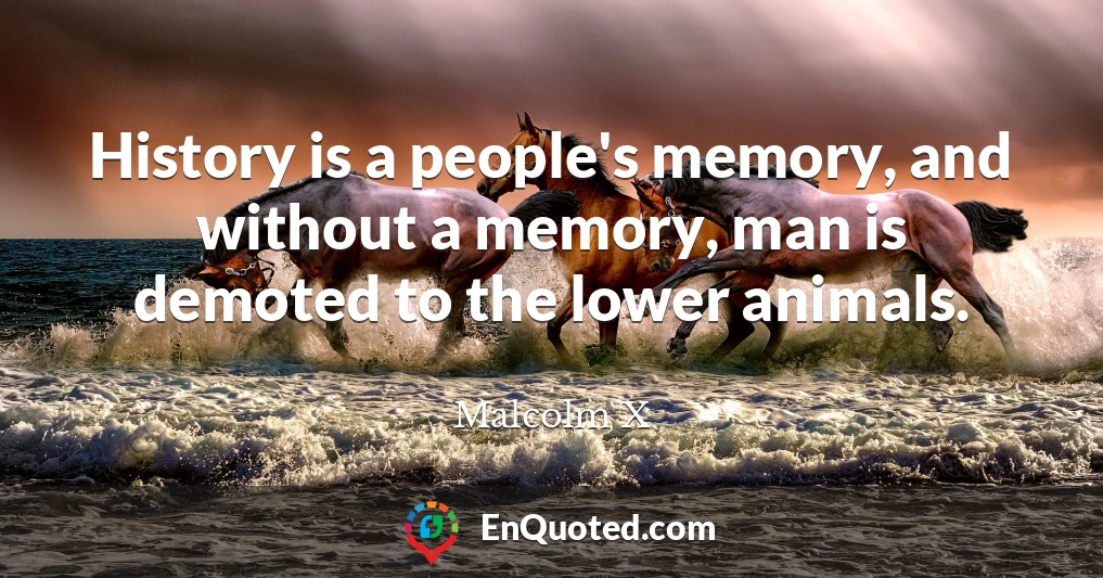 History is a people's memory, and without a memory, man is demoted to the lower animals.