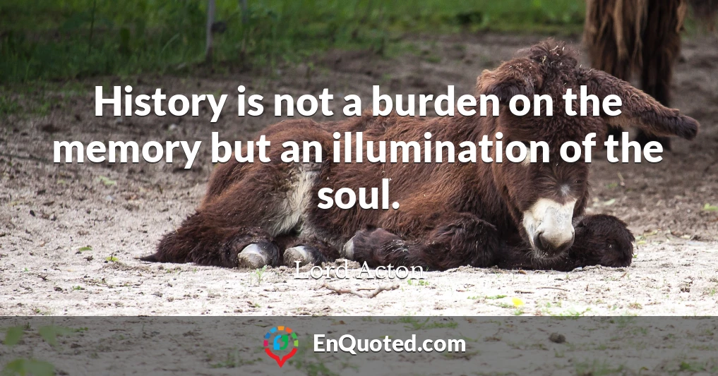 History is not a burden on the memory but an illumination of the soul.