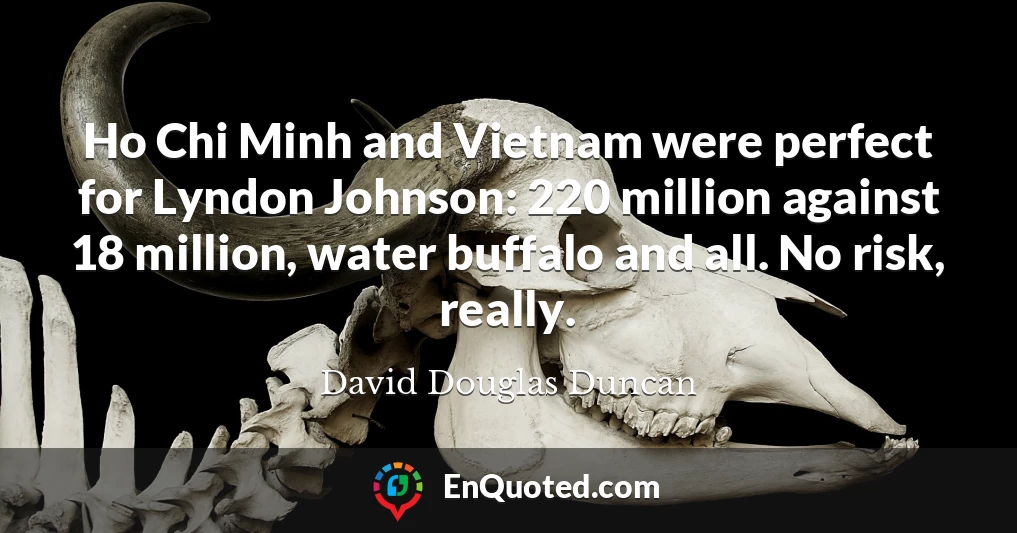 Ho Chi Minh and Vietnam were perfect for Lyndon Johnson: 220 million against 18 million, water buffalo and all. No risk, really.
