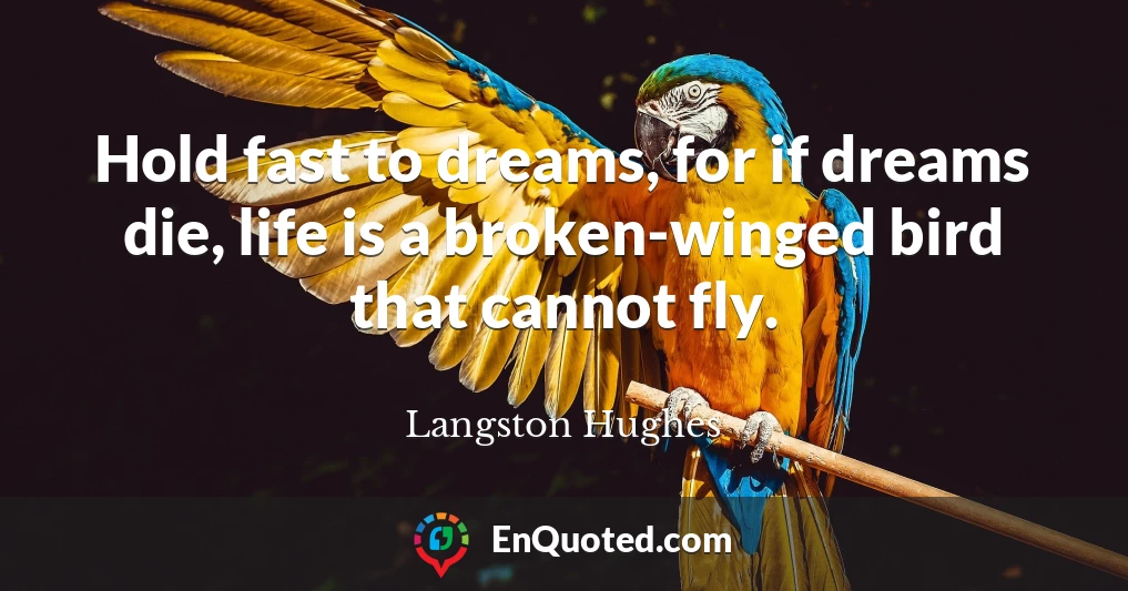 Hold fast to dreams, for if dreams die, life is a broken-winged bird that cannot fly.