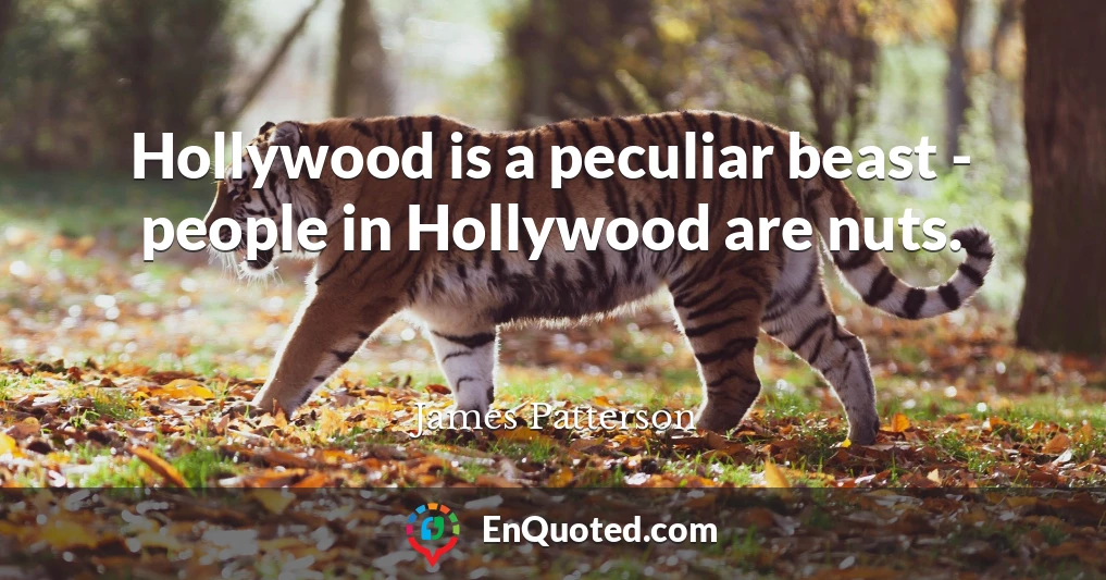 Hollywood is a peculiar beast - people in Hollywood are nuts.