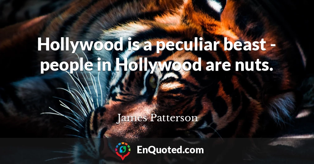 Hollywood is a peculiar beast - people in Hollywood are nuts.