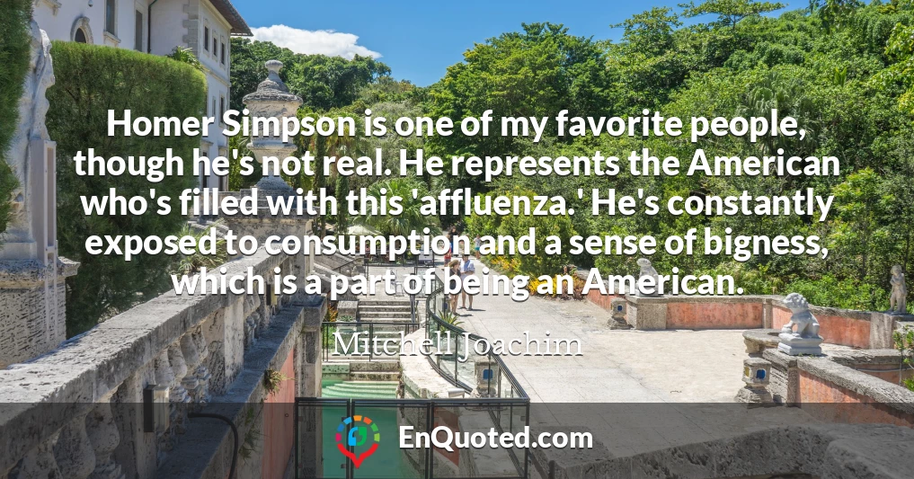 Homer Simpson is one of my favorite people, though he's not real. He represents the American who's filled with this 'affluenza.' He's constantly exposed to consumption and a sense of bigness, which is a part of being an American.