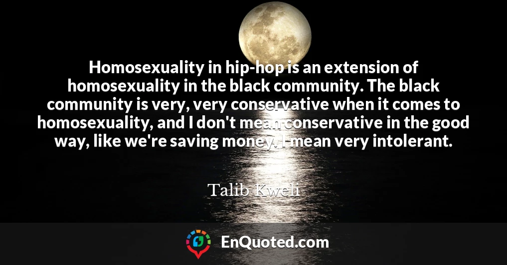 Homosexuality in hip-hop is an extension of homosexuality in the black community. The black community is very, very conservative when it comes to homosexuality, and I don't mean conservative in the good way, like we're saving money. I mean very intolerant.