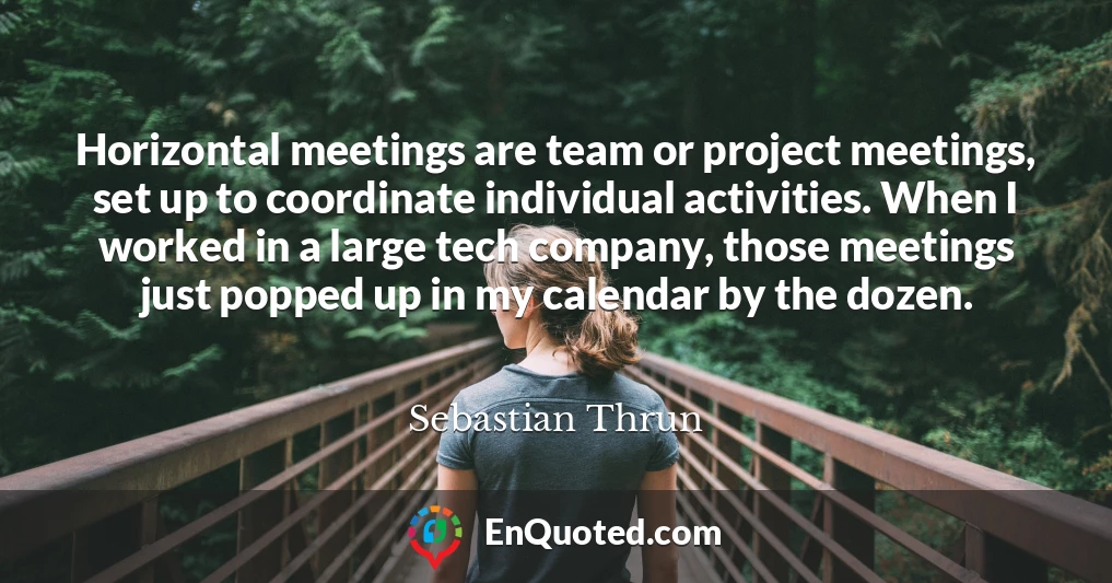 Horizontal meetings are team or project meetings, set up to coordinate individual activities. When I worked in a large tech company, those meetings just popped up in my calendar by the dozen.