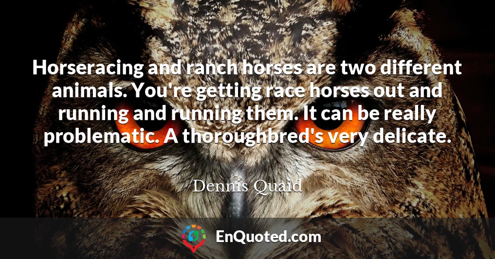 Horseracing and ranch horses are two different animals. You're getting race horses out and running and running them. It can be really problematic. A thoroughbred's very delicate.