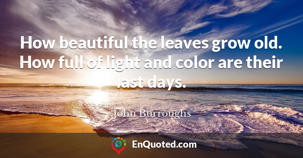 How beautiful the leaves grow old. How full of light and color are their last days.