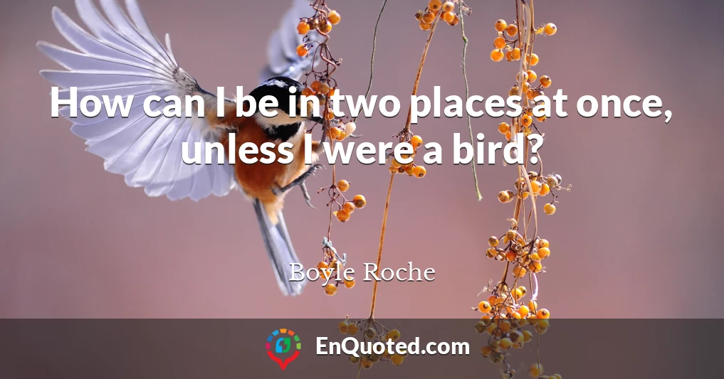 How can I be in two places at once, unless I were a bird?