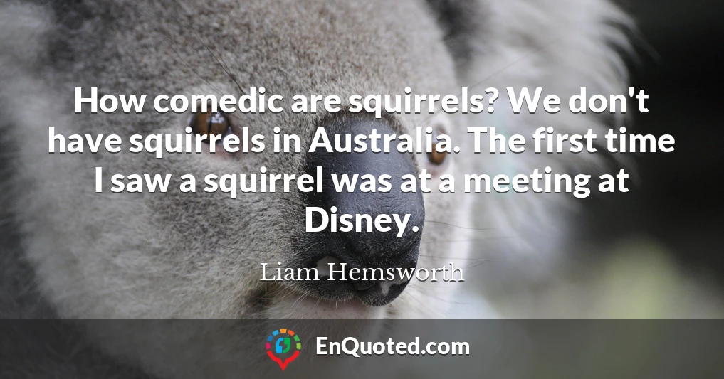 How comedic are squirrels? We don't have squirrels in Australia. The first time I saw a squirrel was at a meeting at Disney.