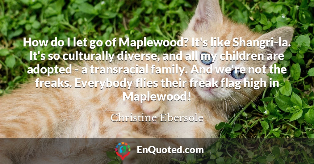 How do I let go of Maplewood? It's like Shangri-la. It's so culturally diverse, and all my children are adopted - a transracial family. And we're not the freaks. Everybody flies their freak flag high in Maplewood!