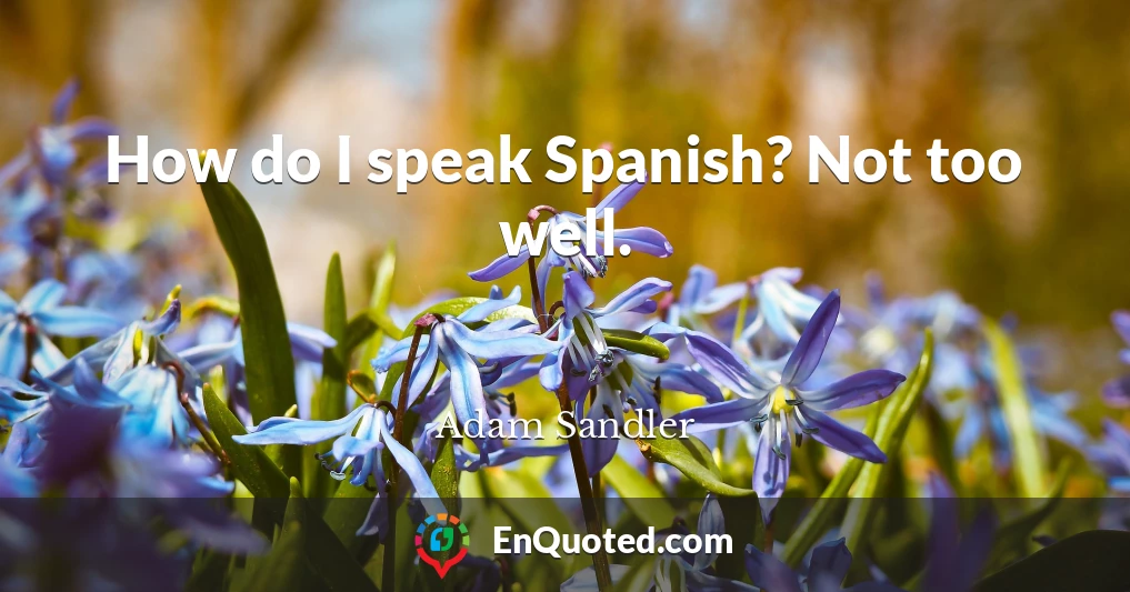 How do I speak Spanish? Not too well.