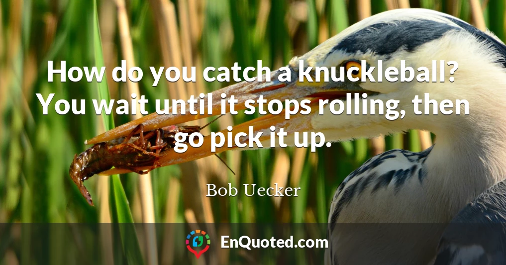 How do you catch a knuckleball? You wait until it stops rolling, then go pick it up.