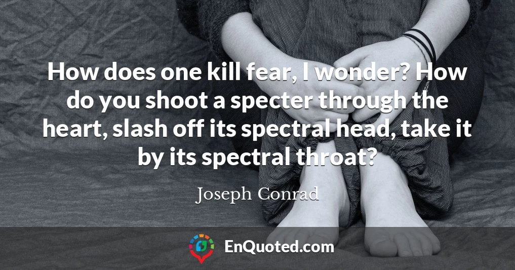How does one kill fear, I wonder? How do you shoot a specter through the heart, slash off its spectral head, take it by its spectral throat?
