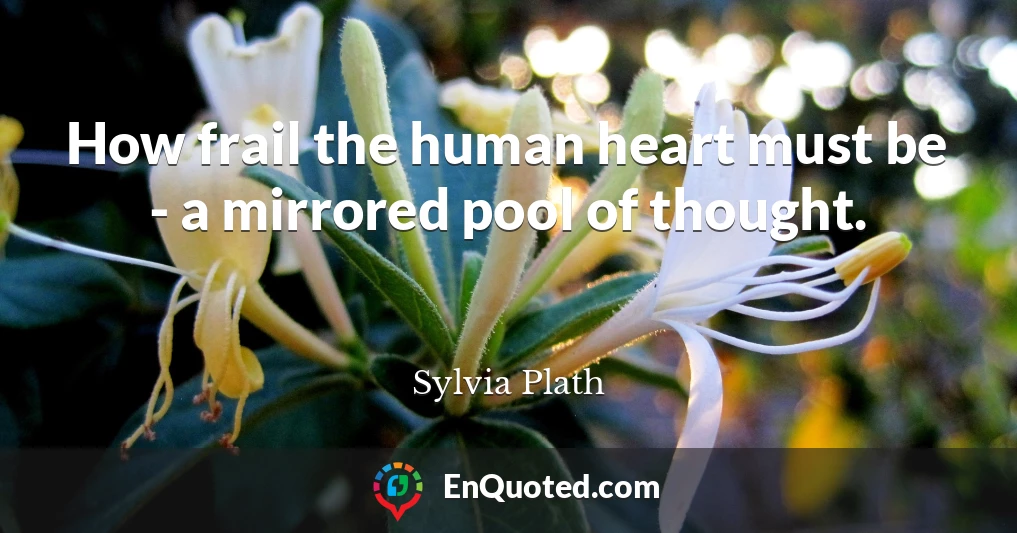 How frail the human heart must be - a mirrored pool of thought.