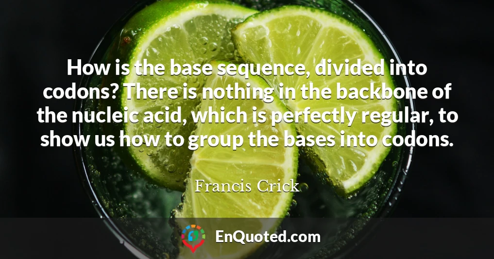 How is the base sequence, divided into codons? There is nothing in the backbone of the nucleic acid, which is perfectly regular, to show us how to group the bases into codons.