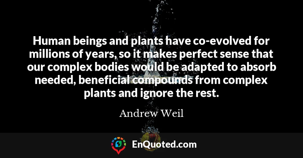 Human beings and plants have co-evolved for millions of years, so it makes perfect sense that our complex bodies would be adapted to absorb needed, beneficial compounds from complex plants and ignore the rest.