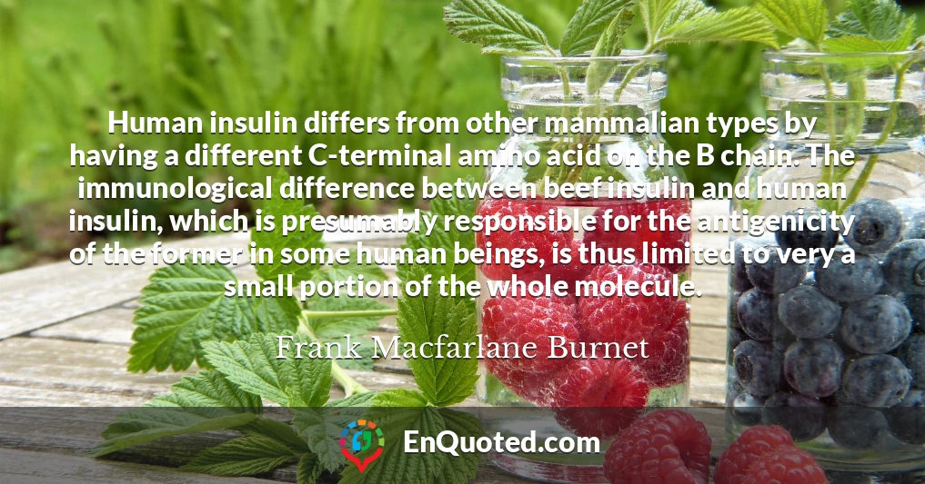 Human insulin differs from other mammalian types by having a different C-terminal amino acid on the B chain. The immunological difference between beef insulin and human insulin, which is presumably responsible for the antigenicity of the former in some human beings, is thus limited to very a small portion of the whole molecule.