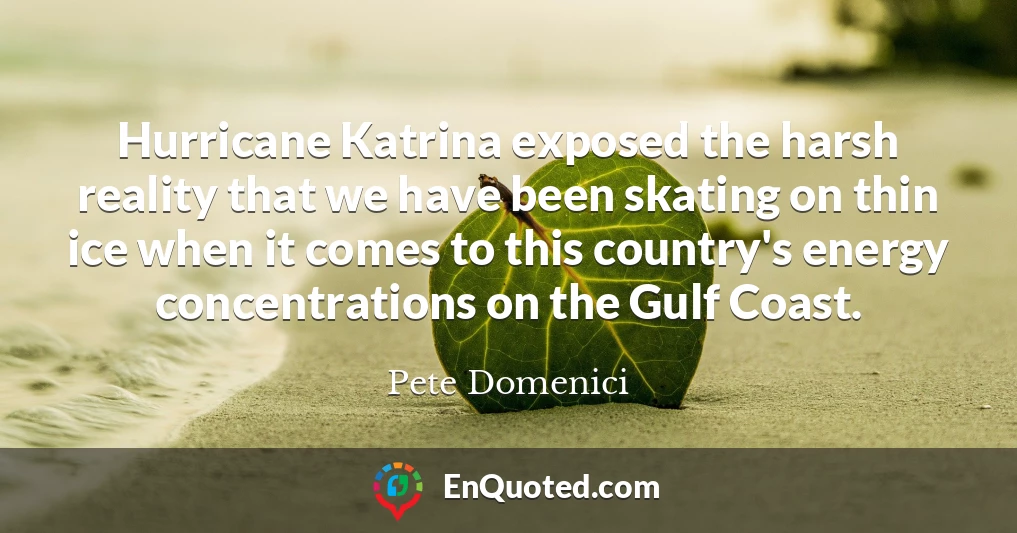 Hurricane Katrina exposed the harsh reality that we have been skating on thin ice when it comes to this country's energy concentrations on the Gulf Coast.