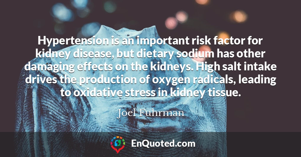 Hypertension is an important risk factor for kidney disease, but dietary sodium has other damaging effects on the kidneys. High salt intake drives the production of oxygen radicals, leading to oxidative stress in kidney tissue.