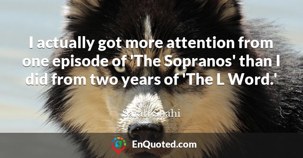 I actually got more attention from one episode of 'The Sopranos' than I did from two years of 'The L Word.'