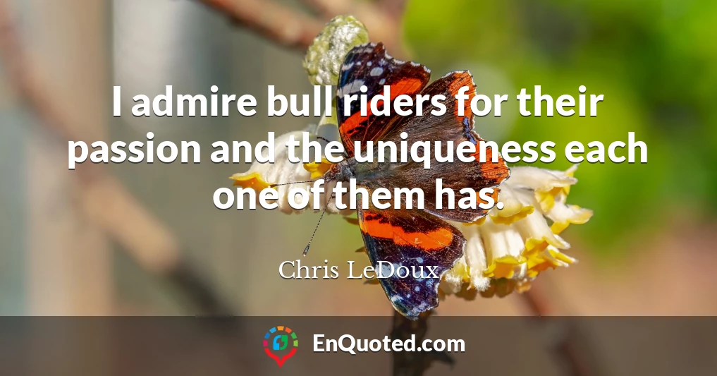 I admire bull riders for their passion and the uniqueness each one of them has.