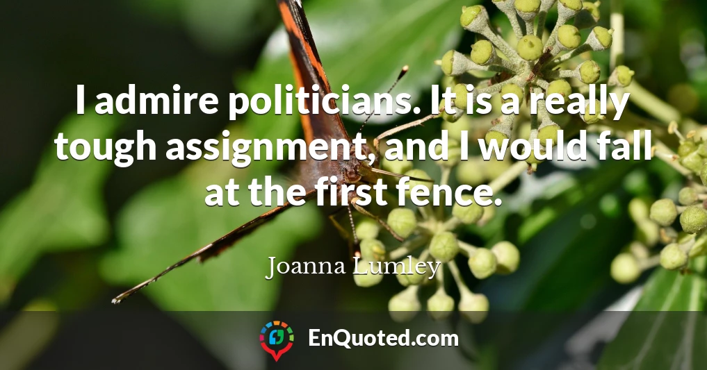 I admire politicians. It is a really tough assignment, and I would fall at the first fence.