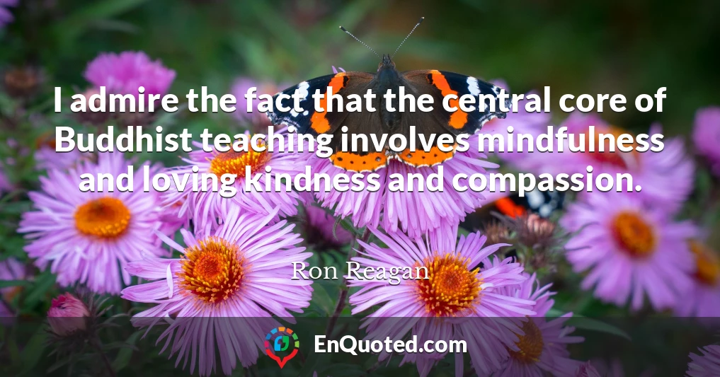 I admire the fact that the central core of Buddhist teaching involves mindfulness and loving kindness and compassion.