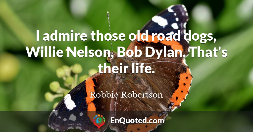 I admire those old road dogs, Willie Nelson, Bob Dylan. That's their life.