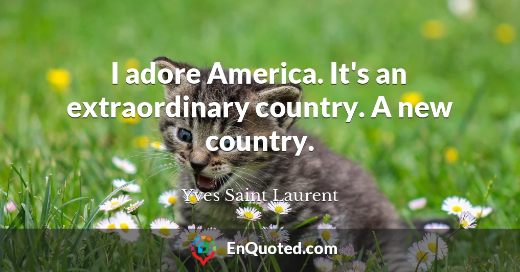 I adore America. It's an extraordinary country. A new country.
