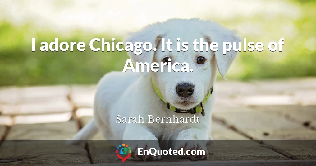 I adore Chicago. It is the pulse of America.