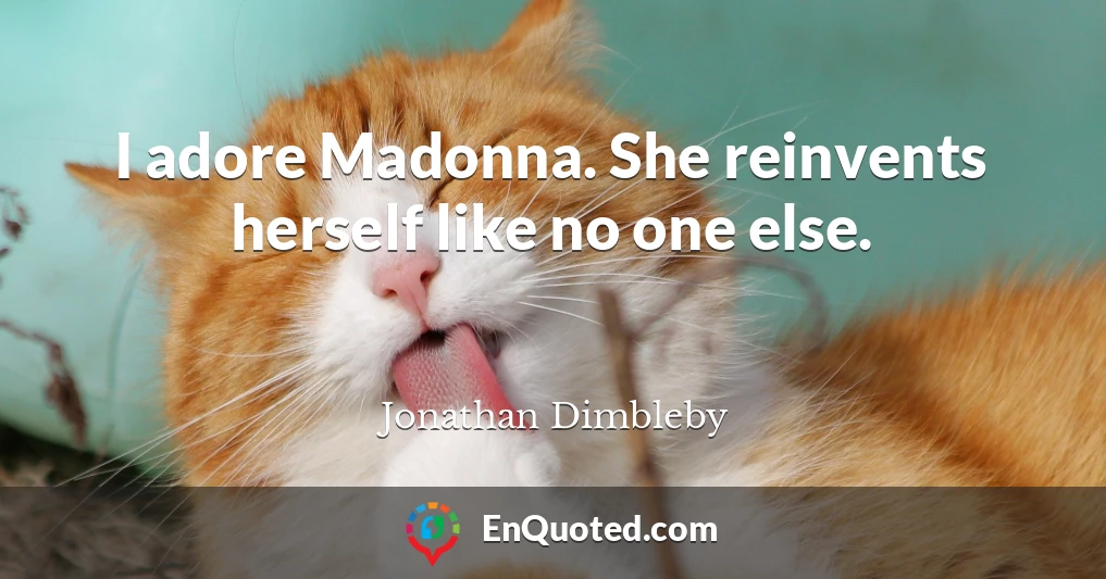 I adore Madonna. She reinvents herself like no one else.