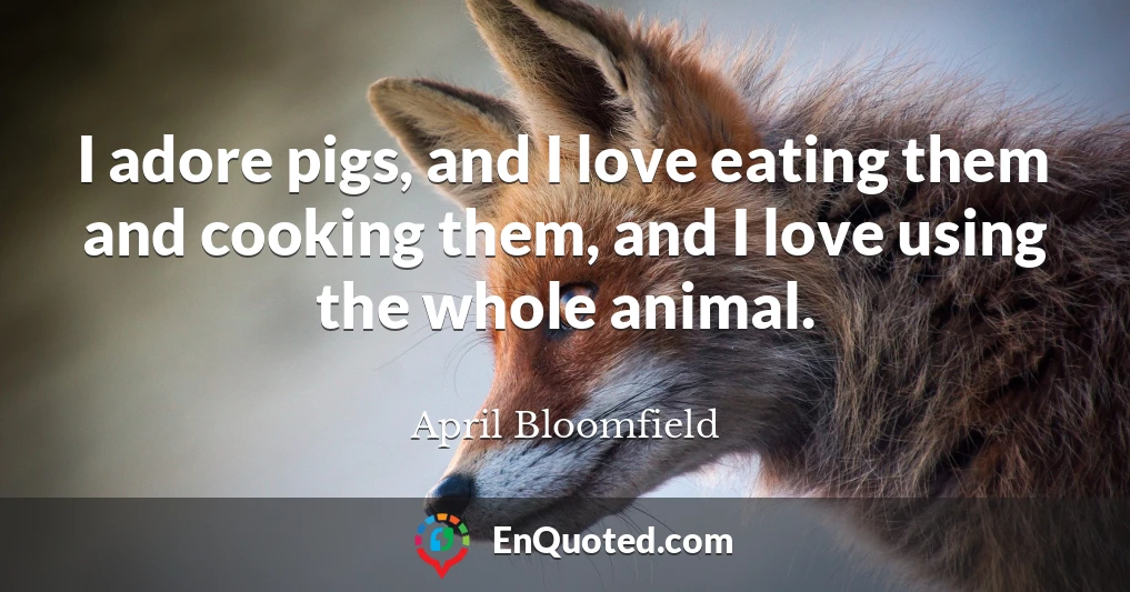 I adore pigs, and I love eating them and cooking them, and I love using the whole animal.