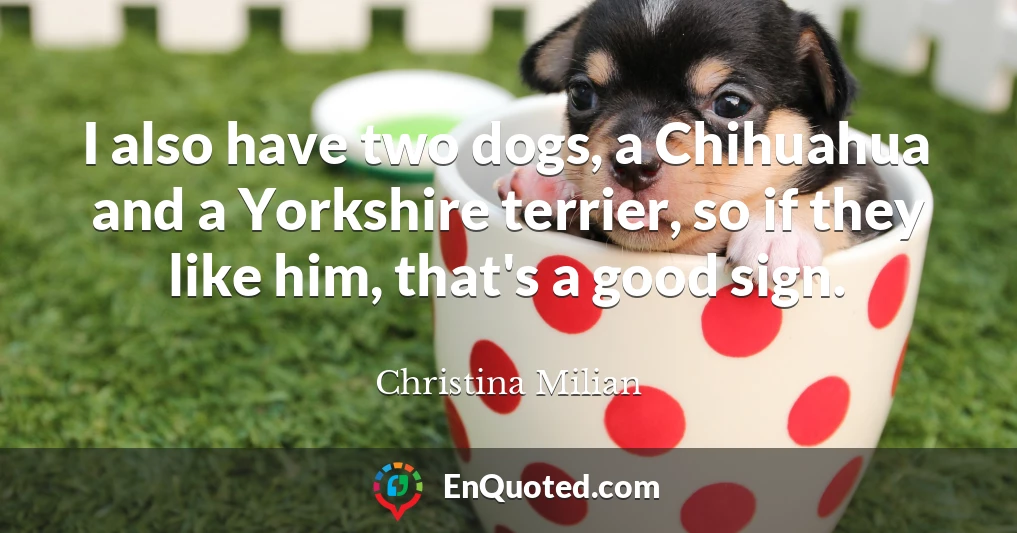 I also have two dogs, a Chihuahua and a Yorkshire terrier, so if they like him, that's a good sign.