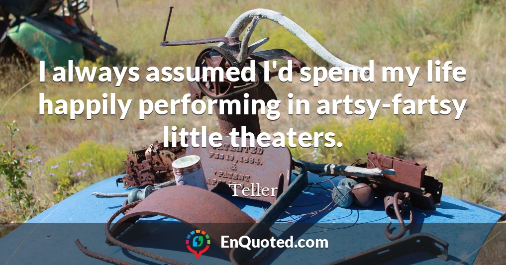 I always assumed I'd spend my life happily performing in artsy-fartsy little theaters.