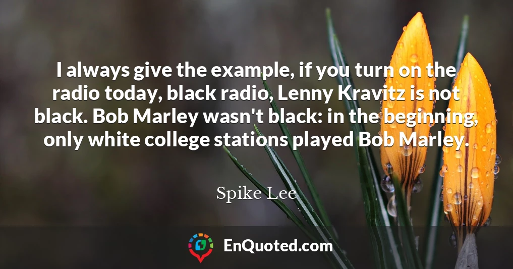 I always give the example, if you turn on the radio today, black radio, Lenny Kravitz is not black. Bob Marley wasn't black: in the beginning, only white college stations played Bob Marley.