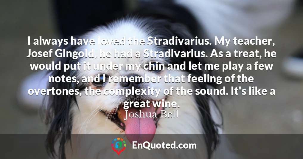 I always have loved the Stradivarius. My teacher, Josef Gingold, he had a Stradivarius. As a treat, he would put it under my chin and let me play a few notes, and I remember that feeling of the overtones, the complexity of the sound. It's like a great wine.