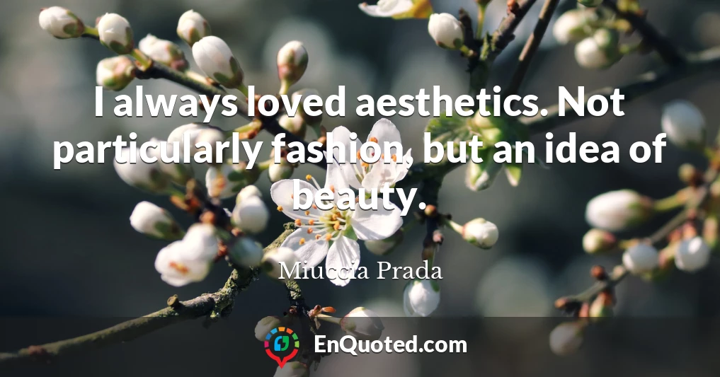 I always loved aesthetics. Not particularly fashion, but an idea of beauty.