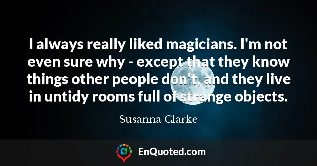 I always really liked magicians. I'm not even sure why - except that they know things other people don't, and they live in untidy rooms full of strange objects.